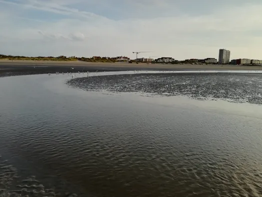 Oostduinkerke (België)